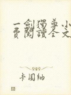 一剑独尊小说免费阅读全文无窗口