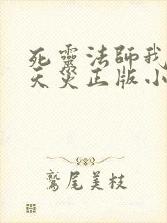 死灵法师我即是天灾正版小说