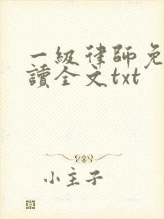 一级律师免费阅读全文txt