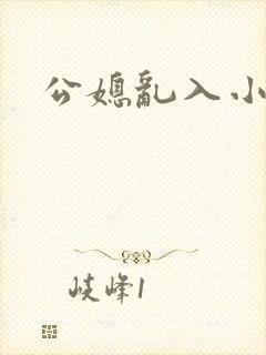 公媳乱入小说