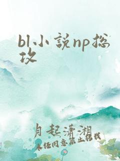 bl小说np总攻