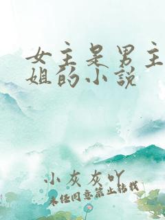 女主是男主的继姐的小说