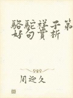骆驼祥子第八章好句赏析