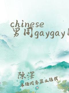 chinese男同gaygay网站