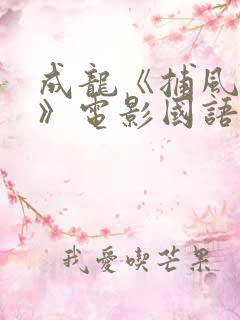 成龙《捕风追影》电影国语版