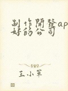 制作开发app好的公司