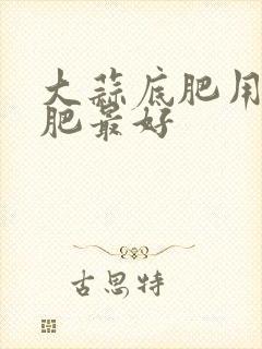 大蒜底肥用什么肥最好