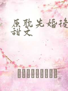 原耽先婚后爱小甜文