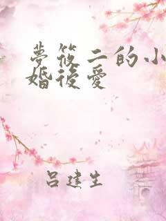 梦筱二的小说先婚后爱