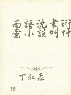 南语沈聿珩乔清意小说叫什么名字