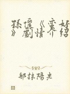 孙俪《蛮好人生》剧情介绍
