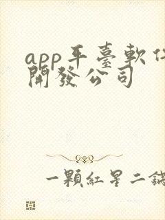 app平台软件开发公司