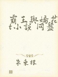 霸王与娇花txt小说 网盘
