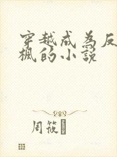 穿越成为反派叶枫的小说