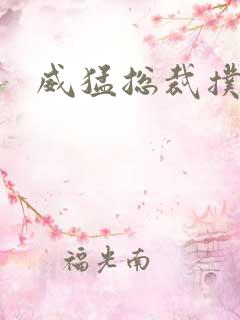 威猛总裁扑娇妻