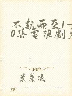 不期而至1—40集电视剧免费观看在线