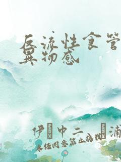 反流性食管炎 异物感