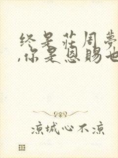 终是庄周梦了蝶,你是恩赐也是劫什么意思