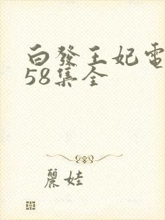 白发王妃电视剧58集全
