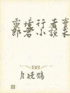 灵境行者卖报小郎君小说未删版