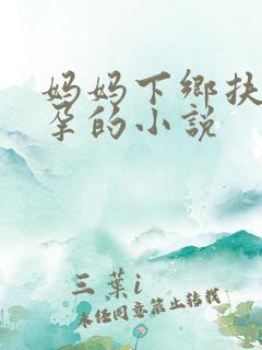妈妈下乡扶贫怀孕的小说