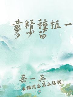 黄精种植一亩要多少苗