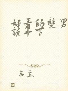 好看的双男主小说年下