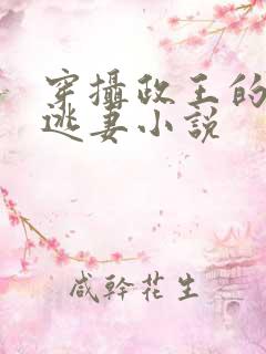 穿摄政王的侍爱逃妻小说