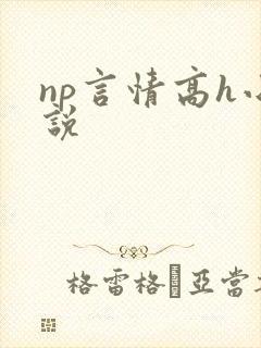 np言情高h小说