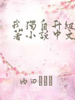 我独自升级的原著小说中文版