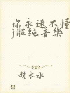 你永远不懂我dj版纯音乐