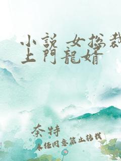 小说 女总裁的上门龙婿