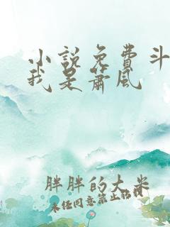 小说免费斗破之我是萧风