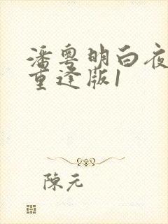 潘粤明白夜追凶重逢版1
