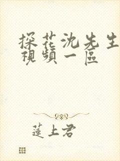 探花沈先生在线视频一区