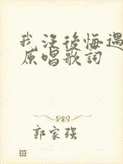 我没后悔遇见你原唱歌词