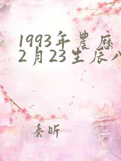 1993年农历2月23生辰八字
