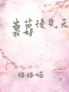出苗后几天施肥最好
