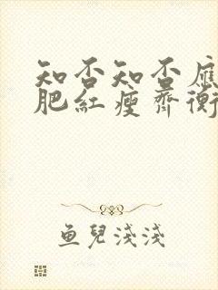 知否知否应是绿肥红瘦齐衡妻子