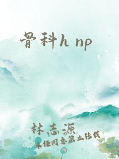 骨科h np