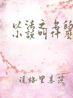 以法之名的原著小说叫什么
