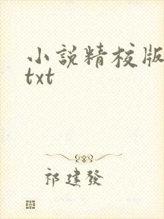 小说精校版全本txt