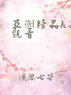 亚洲精品h在线观看