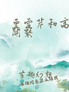曹雪芹和高鹗的关系
