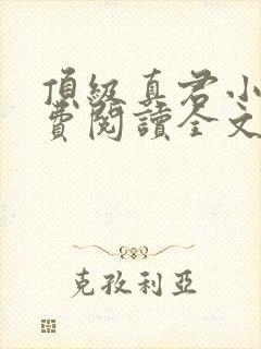 顶级真君小说免费阅读全文