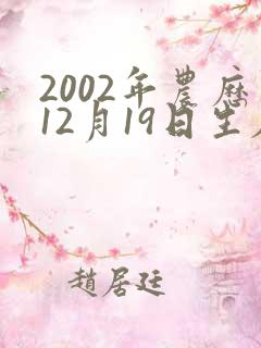 2002年农历12月19日生辰八字