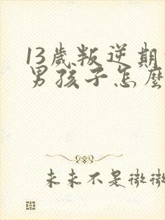 13岁叛逆期的男孩子怎么去引导