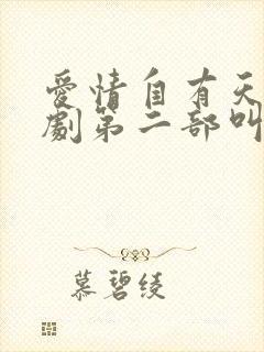 爱情自有天意短剧第二部叫什么