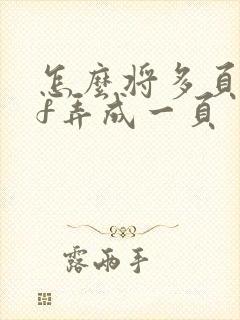 怎么将多页pdf弄成一页