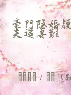 豪门隐婚腹黑前夫追妻难